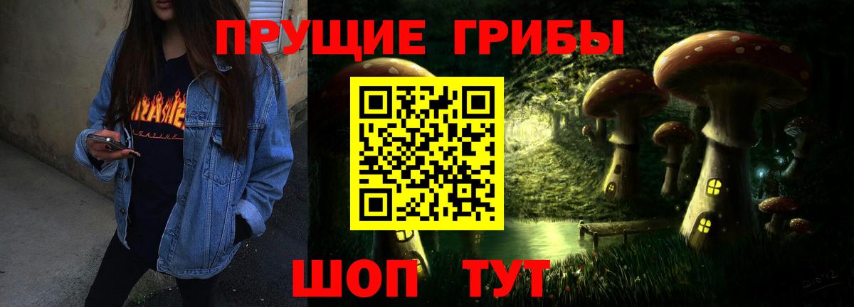 Псилоцибиновые грибы прущие грибы  цены   Чита  Вход с VPN 